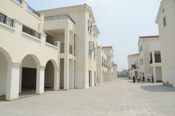 受邀现场调研并为企业发展提供发展方案(图4)