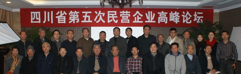 受邀参加第五次民营企业高峰论坛并发言(图1)