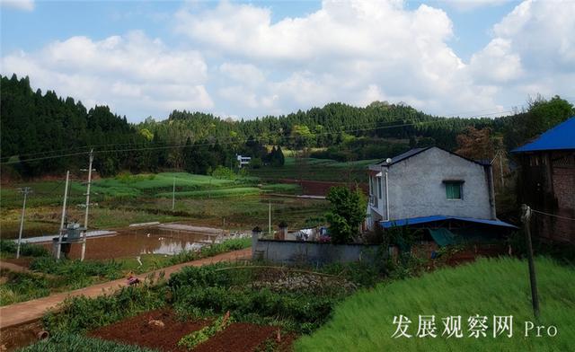 农家四月春已浓（组图）(图1)