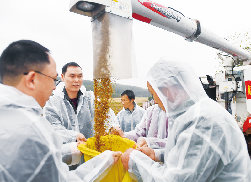 建设世界科技强国的战略擘画(图4) 建设世界科技强国的战略擘画(图4)