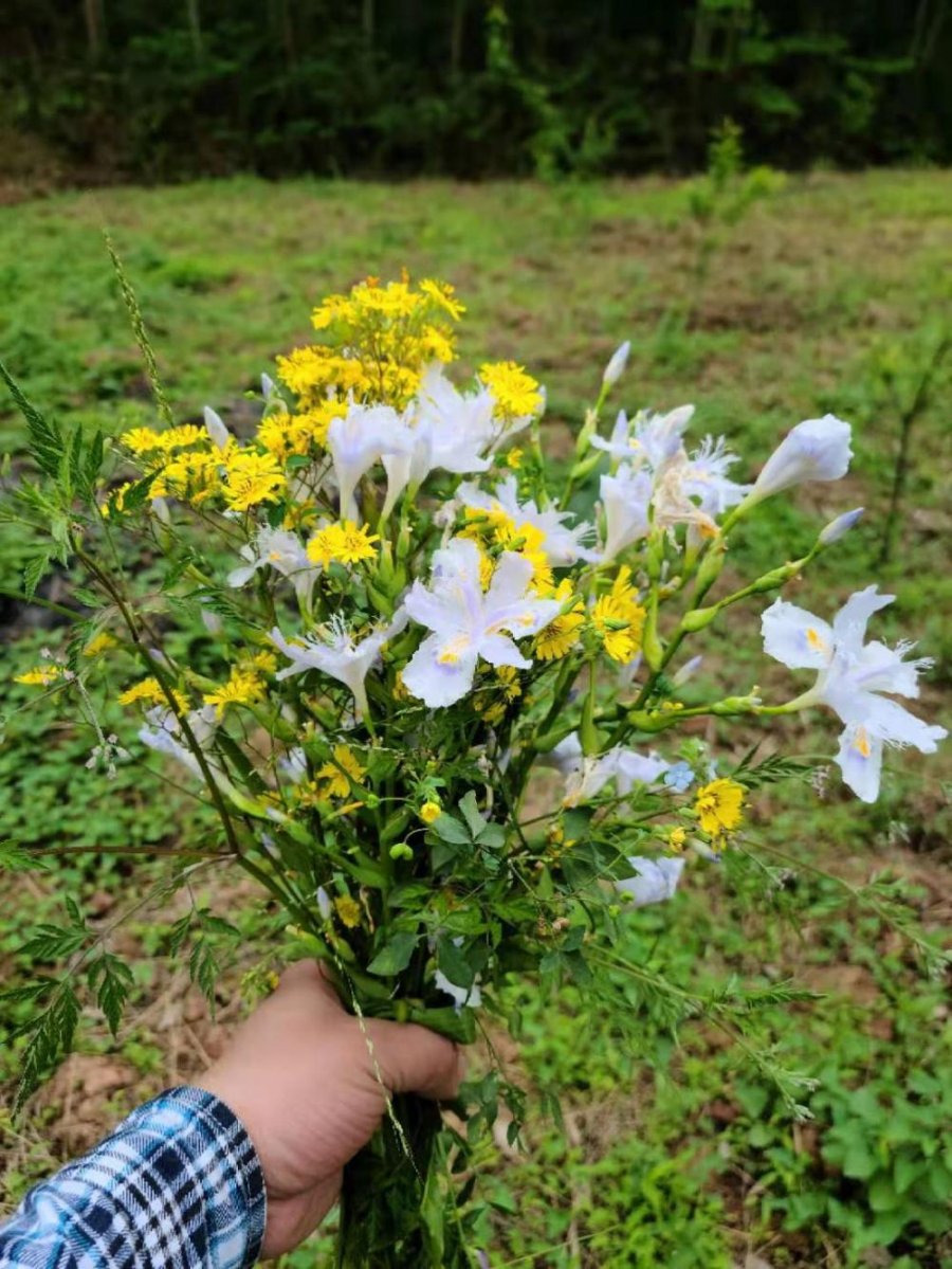 蜀中风吟:生长的春天三首(图4) 蜀中风吟:生长的春天(三首)